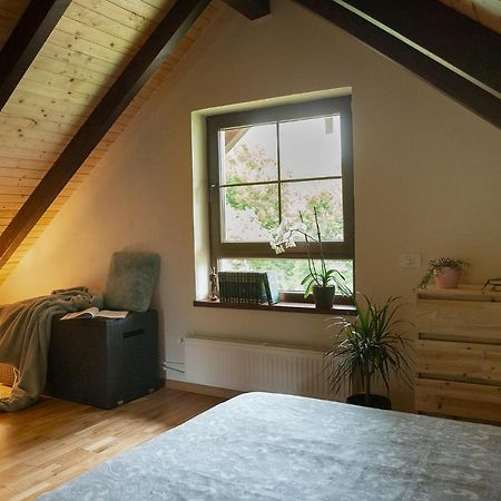 Casuta Cu Bine Villa Valea Lunga-Ogrea Luaran gambar