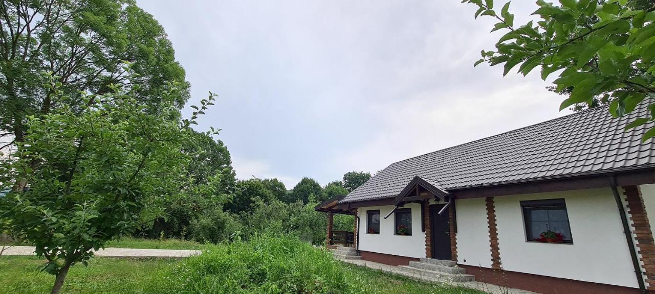 Casuta Cu Bine Villa Valea Lunga-Ogrea Luaran gambar