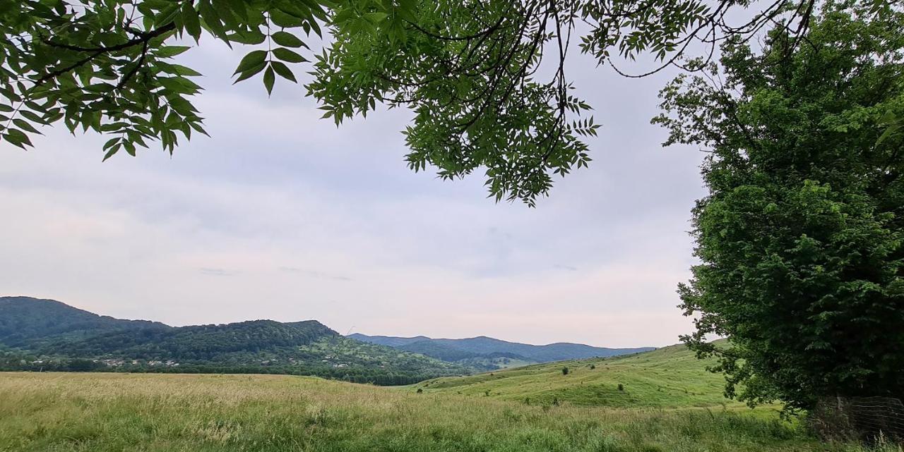 Casuta Cu Bine Villa Valea Lunga-Ogrea Luaran gambar