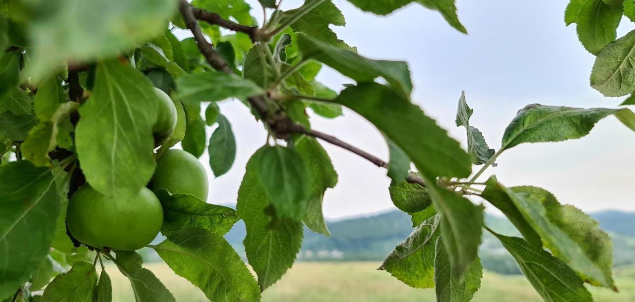 Casuta Cu Bine Villa Valea Lunga-Ogrea Luaran gambar