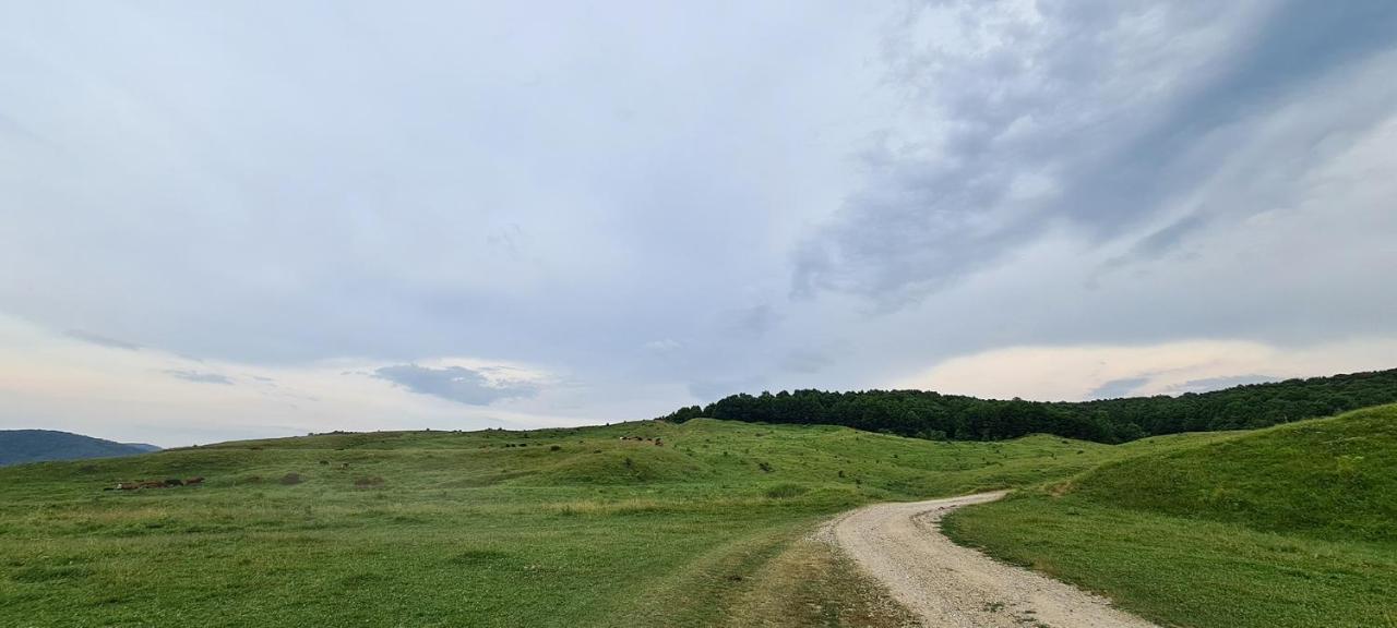 Casuta Cu Bine Villa Valea Lunga-Ogrea Luaran gambar