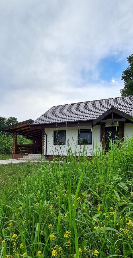 Casuta Cu Bine Villa Valea Lunga-Ogrea Luaran gambar
